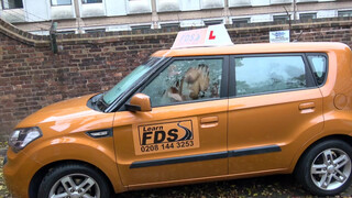 Fake Driving School szőrös pinájú kisasszony a hátsó ülésen