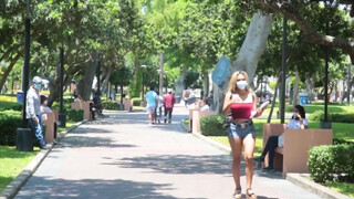 Bombázó méretes cickós venezuelai spiné